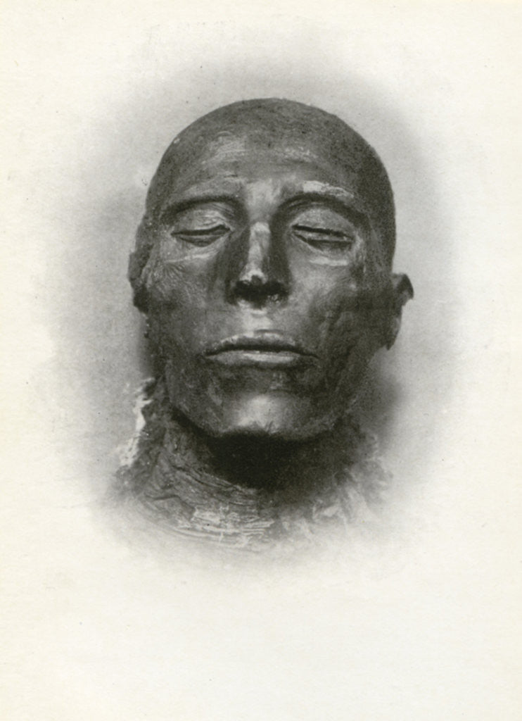 Detail of Head of the mummy of Sety I, Ancient Egyptian pharaoh of the 19th Dynasty by Winifred Mabel Brunton