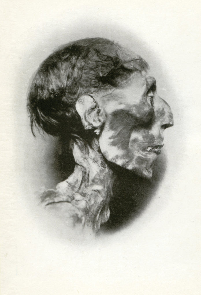Detail of Head of the mummy of Rameses II, Ancient Egyptian pharaoh of the 19th dynasty by Winifred Mabel Brunton