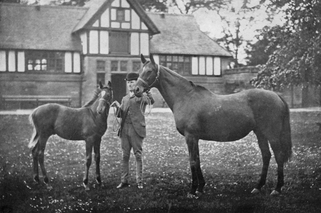 Detail of Lily Agnes, with Orelio by Bend Or, winner of £4955 by Anonymous