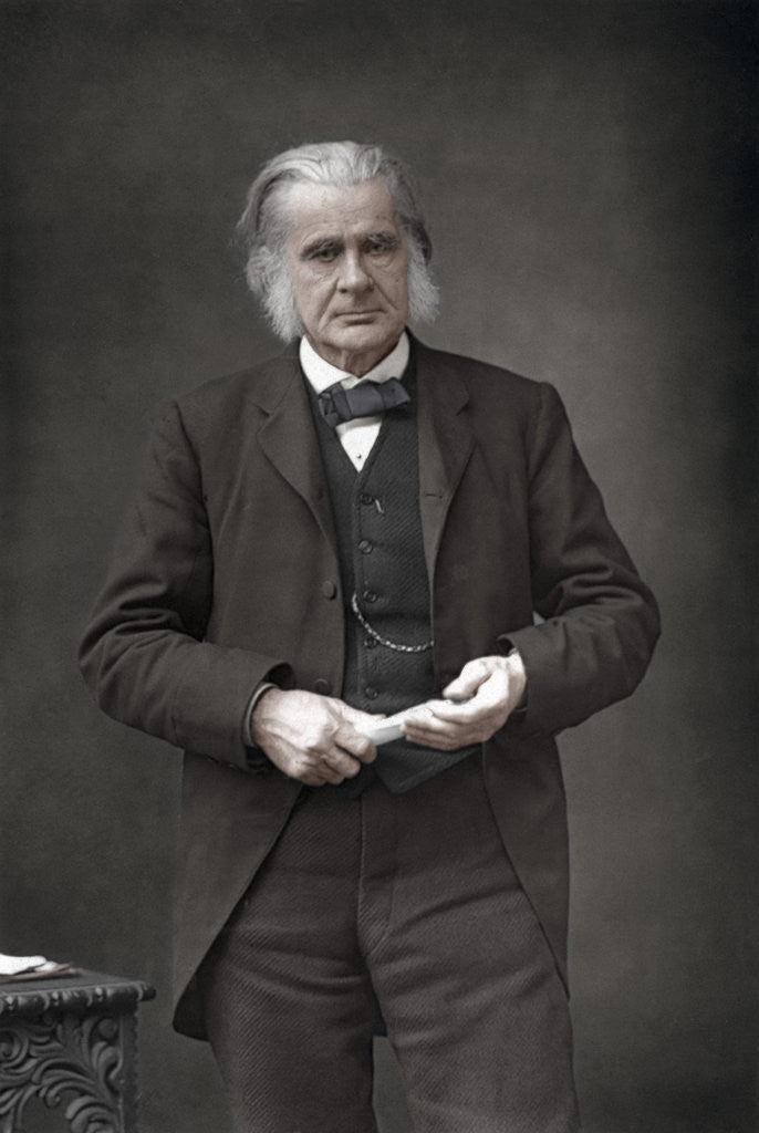 Detail of Thomas Henry Huxley (1825-1895), English biologist by W&D Downey