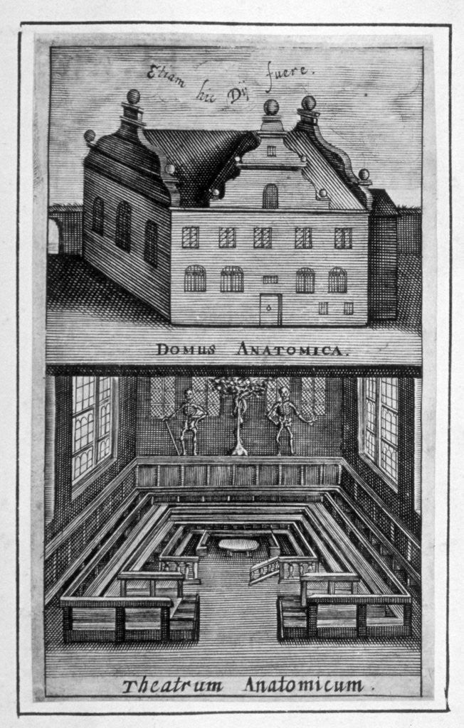 Detail of View of exterior of building and anatomical theatre inside by Anonymous