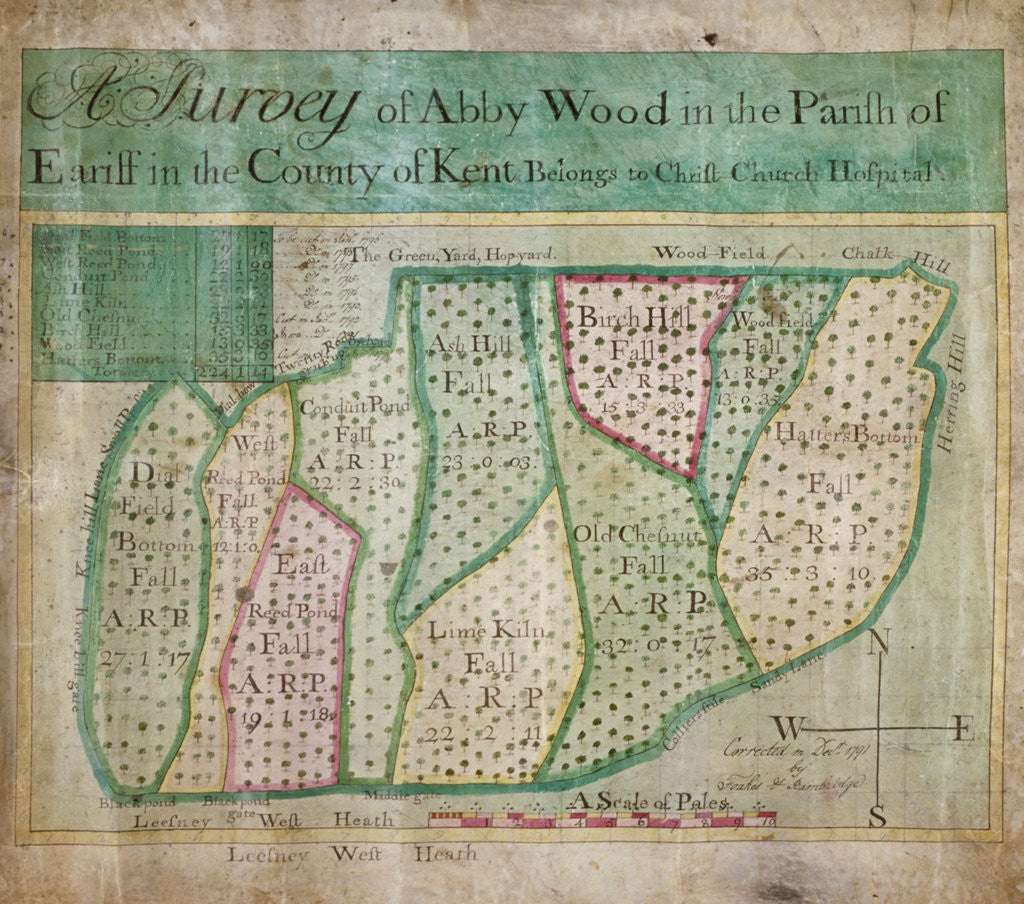 Detail of Map of Abbey Wood, part of Erith or Lesnes Manor on the eastern boundary of Woolwich, Kent by Anonymous