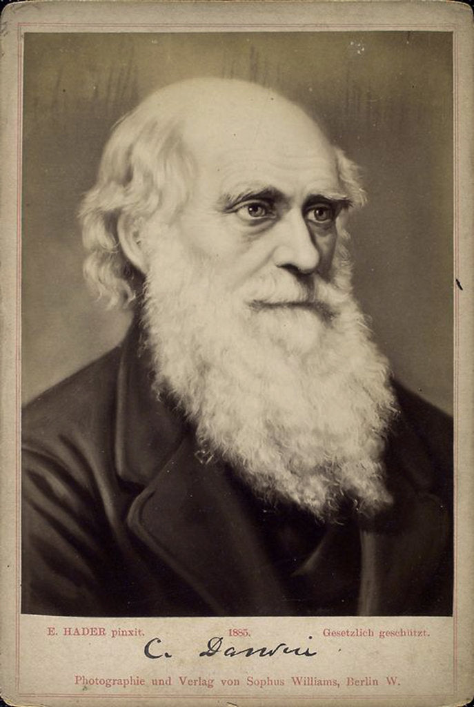 Detail of Charles Darwin, British naturalist, c1860s-c1870s by Ernst Hader