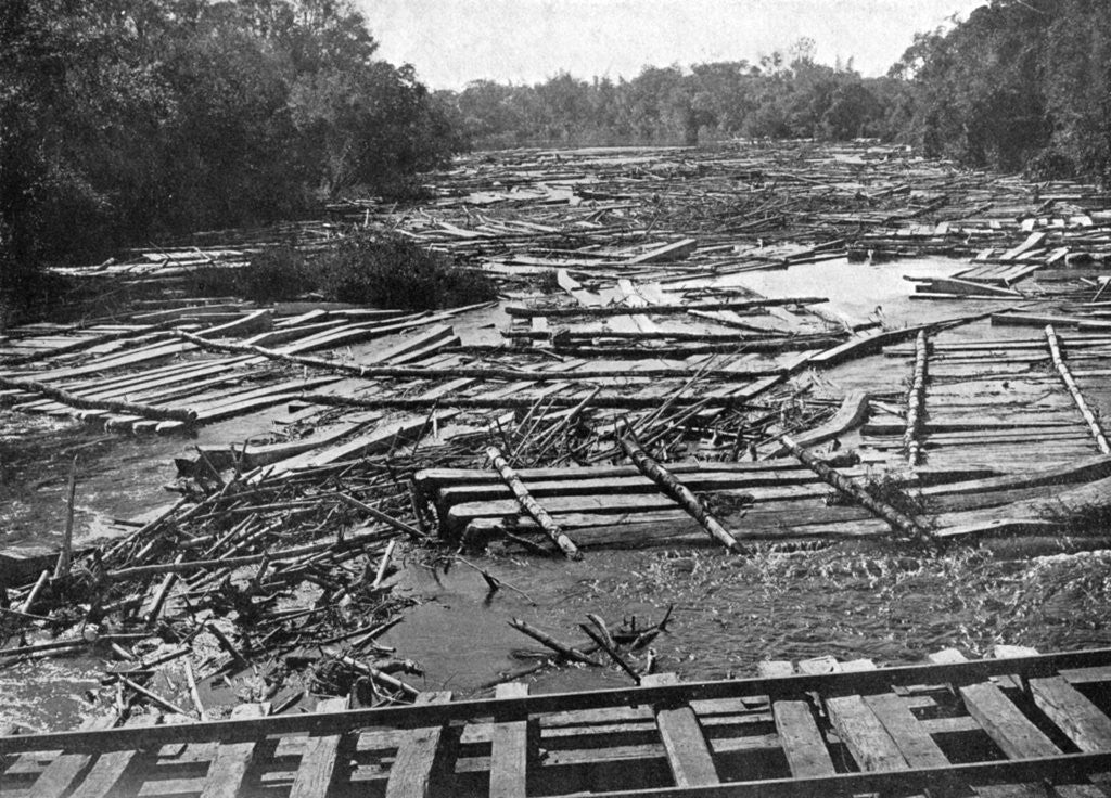 Detail of Cedar logs on the Tebicuary-Guazu River floating by the railway bridge, Paraguay by Anonymous