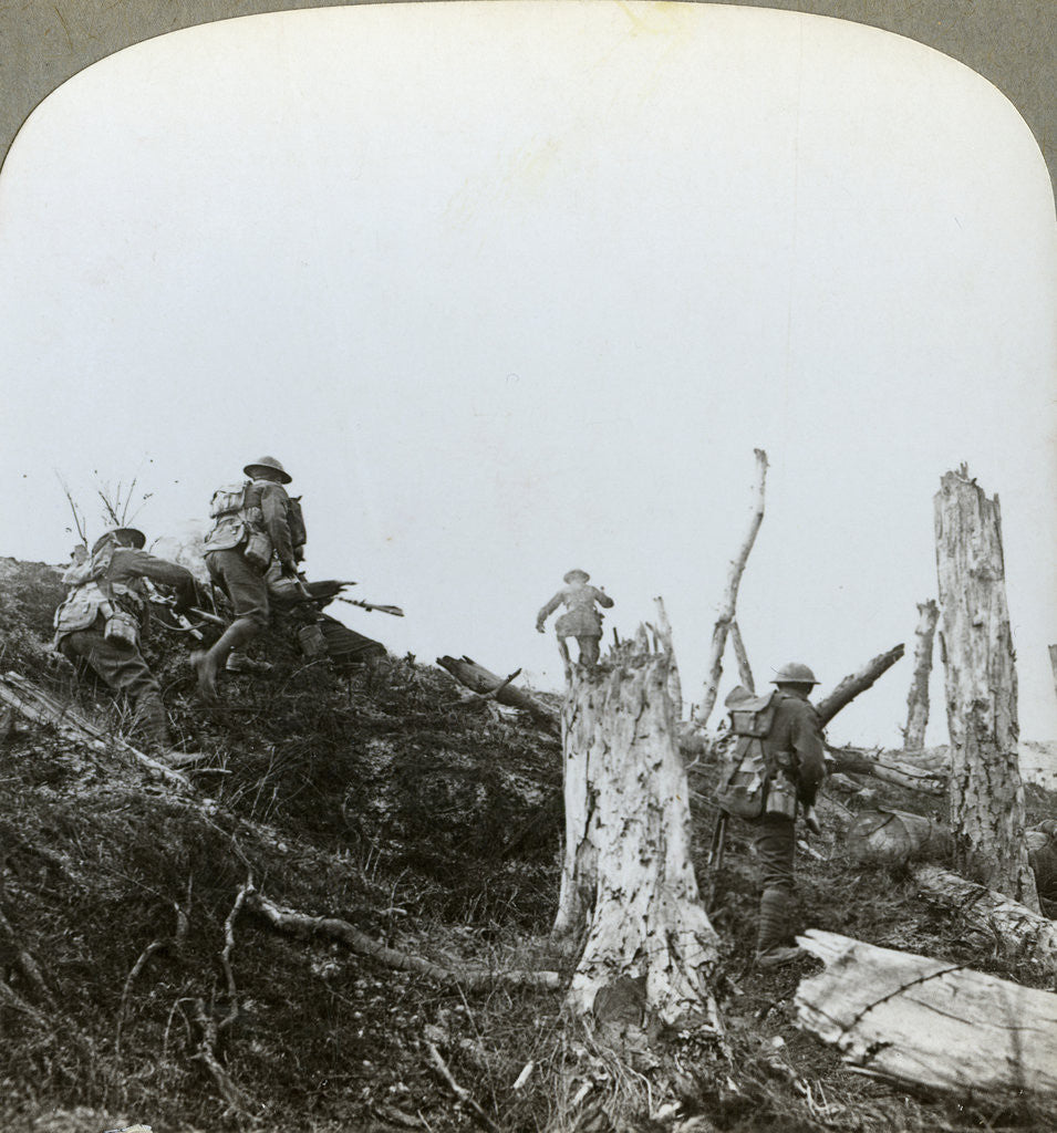 Detail of Assault in Trones Wood, Somme, France, World War I by Realistic Travels Publishers