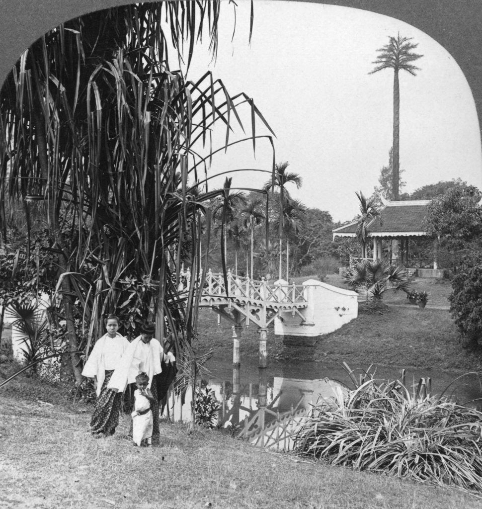 Detail of A peep into the tropical gardens of Rangoon, Burma by Stereo Travel Co