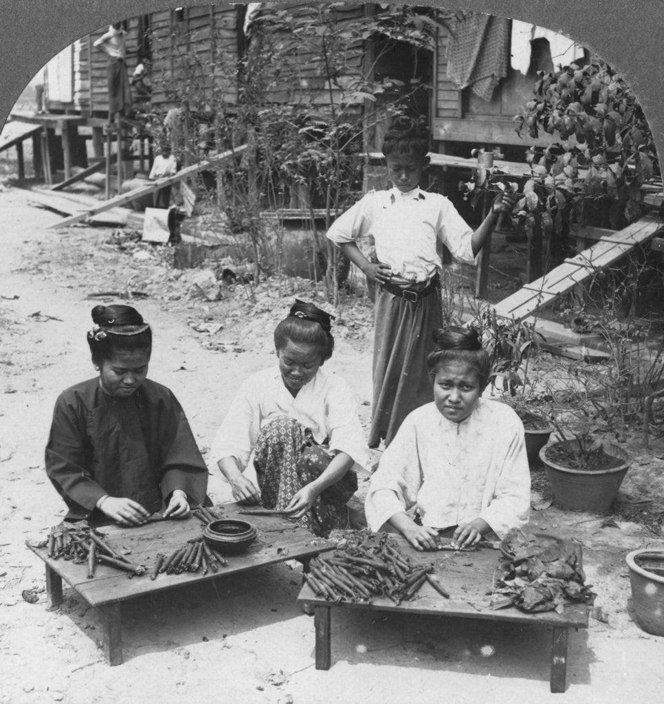 Detail of Making the huge cigars smoked by women, Burma by Stereo Travel Co