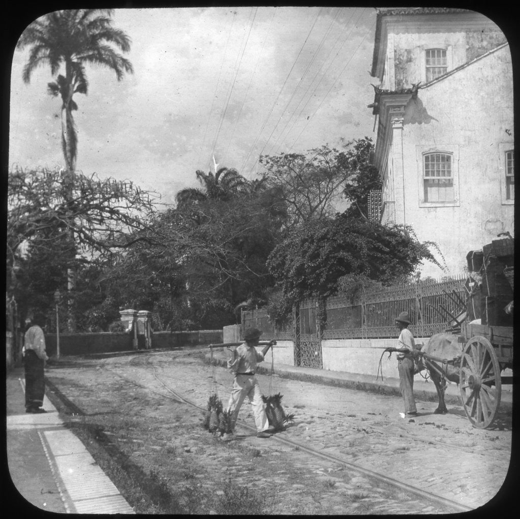 Detail of Street scene, Pernambuco, Brazil by Anonymous