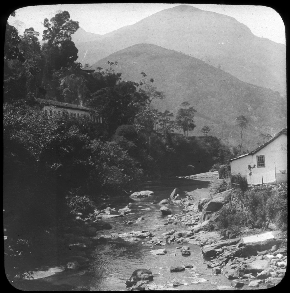Detail of Near Petrópolis, Rio de Janeiro, Brazil by Anonymous