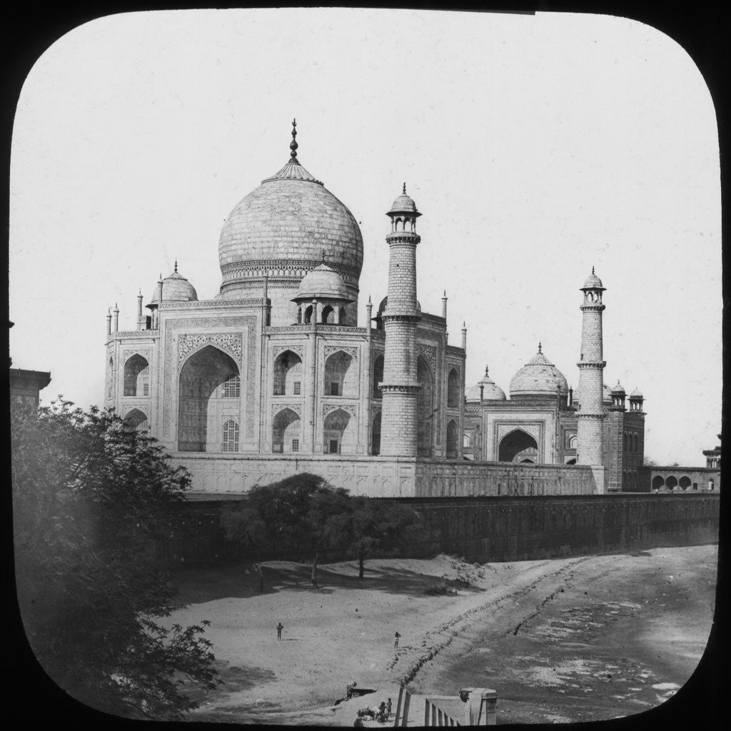 Detail of Taj Mahal, Agra, Uttar Pradesh, India by Anonymous