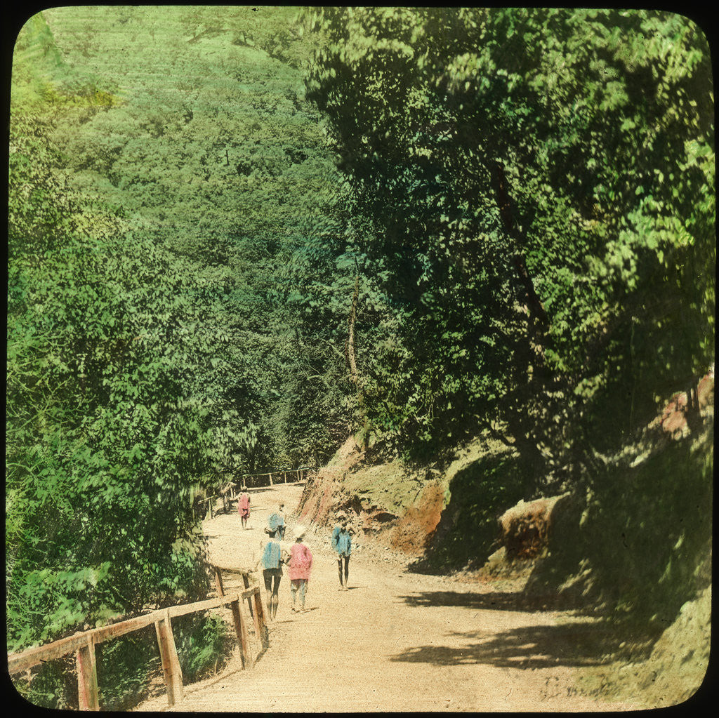 Detail of The Mall Road, Simla, India by Anonymous