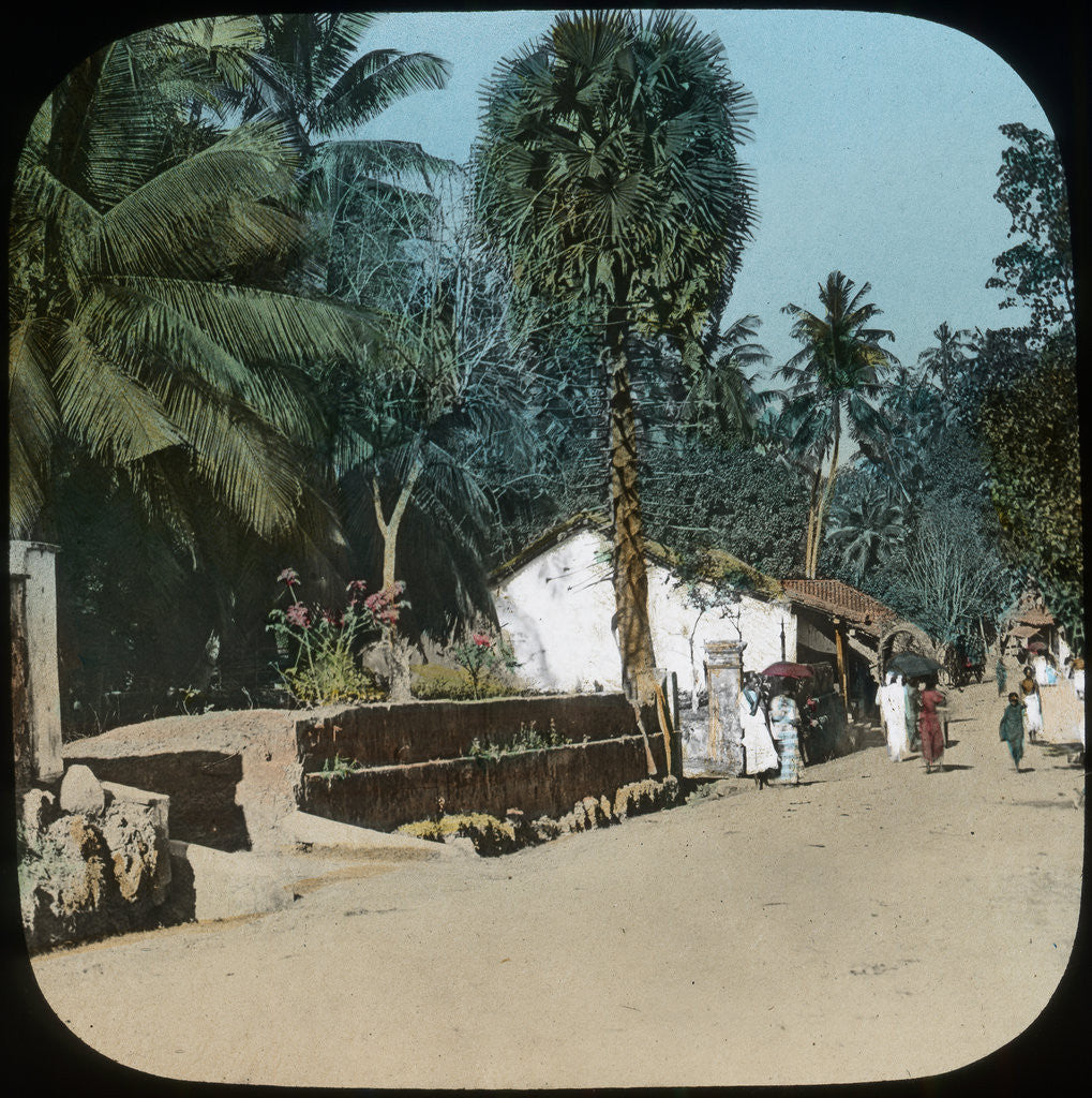 Detail of Road from Colombo to Galle, Colombo, Ceylon by Anonymous
