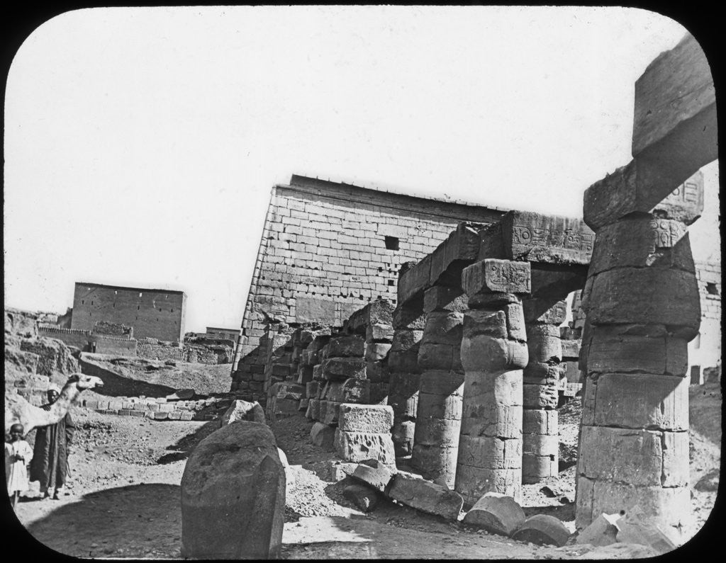 Detail of Great Temple, Luxor, Egypt by Newton & Co