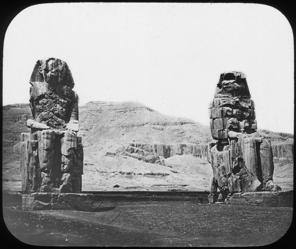 Detail of Colossi of Memnon, Luxor (Thebes), Egypt by Newton & Co