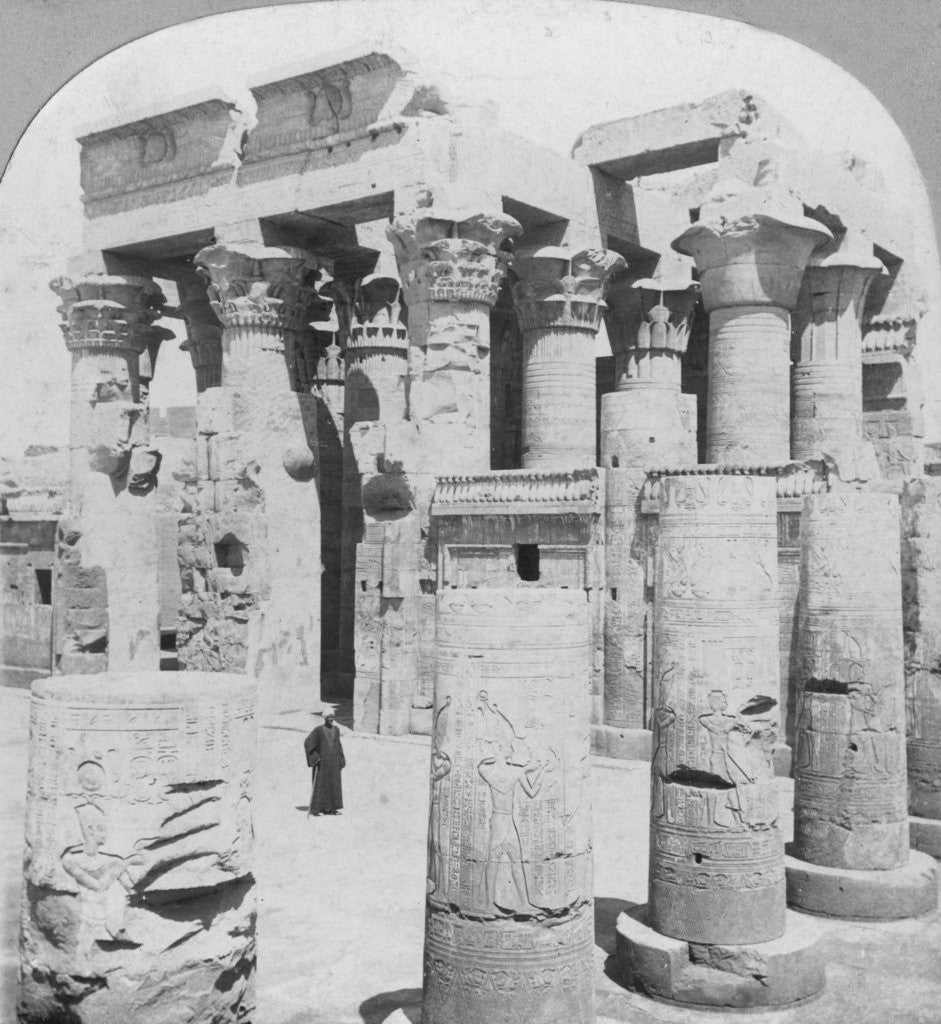 Detail of Temple of Kom Ombo, Egypt by The Fine Art Photographers Co