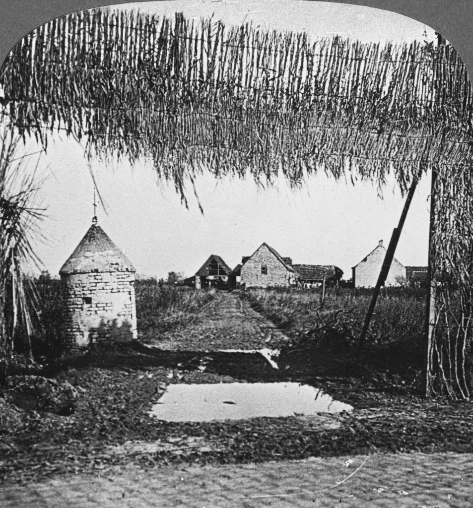 Detail of 'Ingenious camouflage', World War I by Realistic Travels Publishers