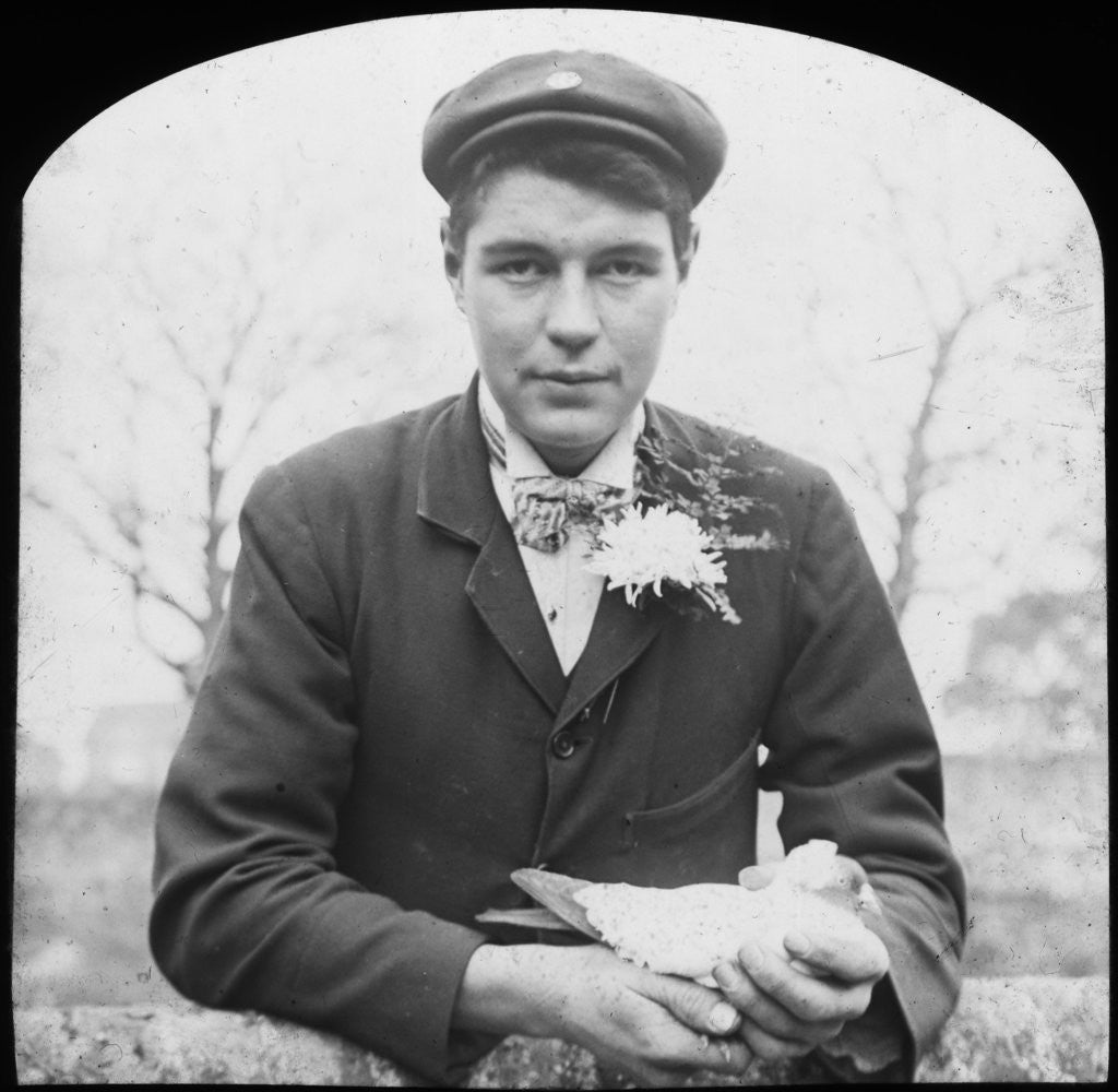 Detail of E Hack holding a pigeon by Anonymous