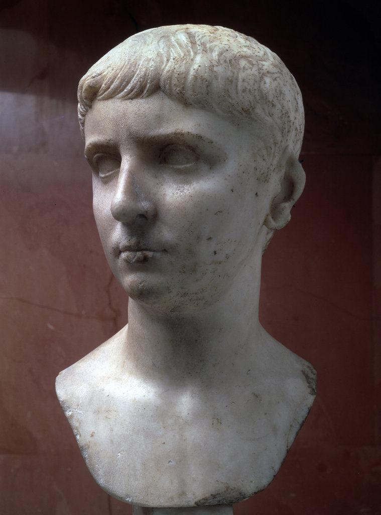 Detail of Marble portrait bust of Gaius Julius Caesar, 1st half of 1st century by Unknown