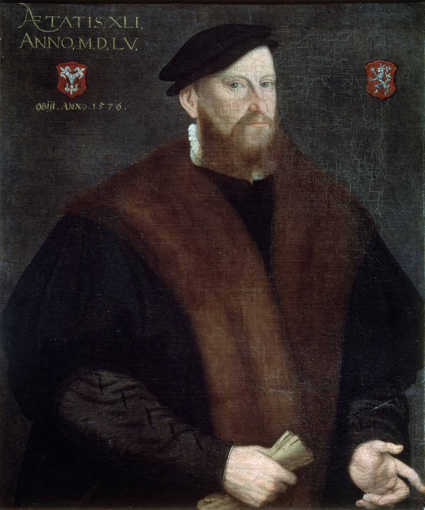 Detail of Portrait of an Elderly Man, 1576 by French Master