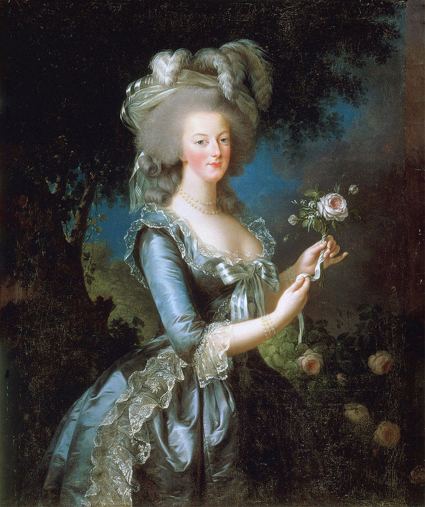 Detail of Marie Antoinette Ã  la Rose by Marie Louise Elisabeth VigÃ©e-Lebrun