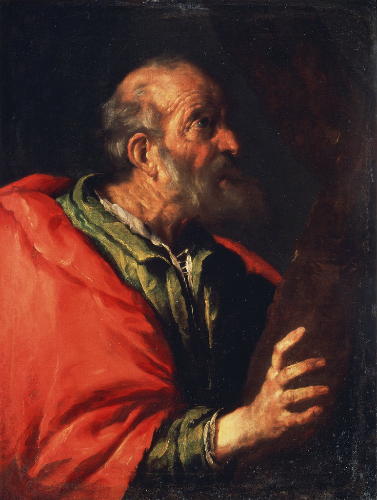 Detail of Head of an Old Man (the Apostle Peter?), 17th century by Bernardo Strozzi
