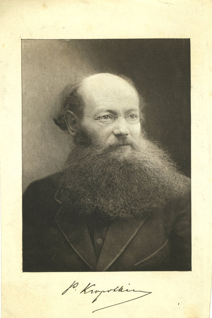 Detail of Portrait of Count Peter (Pyotr) Alexeyevich Kropotkin by Anonymous