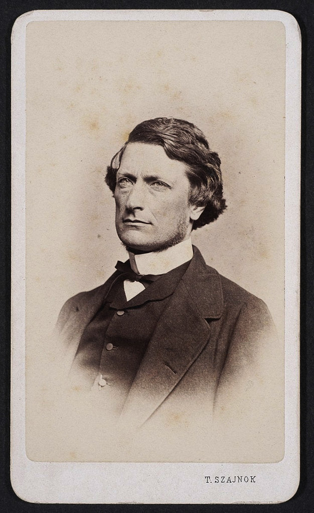 Detail of Portrait of Alfred Józef Potocki, ca 1875 by Anonymous