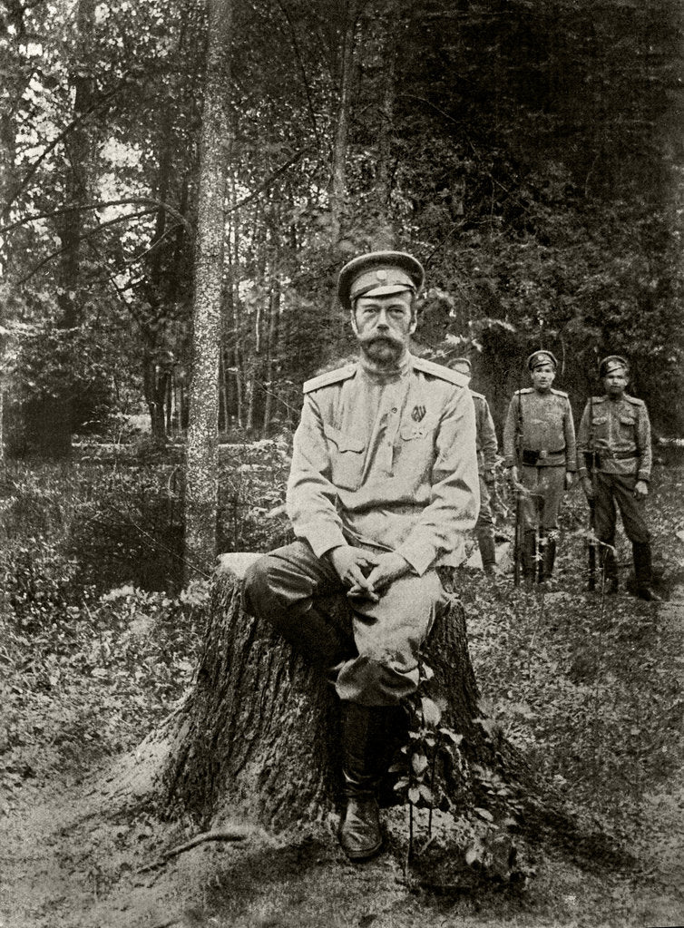 Detail of Nicholas II of Russia. March 1917 by Anonymous