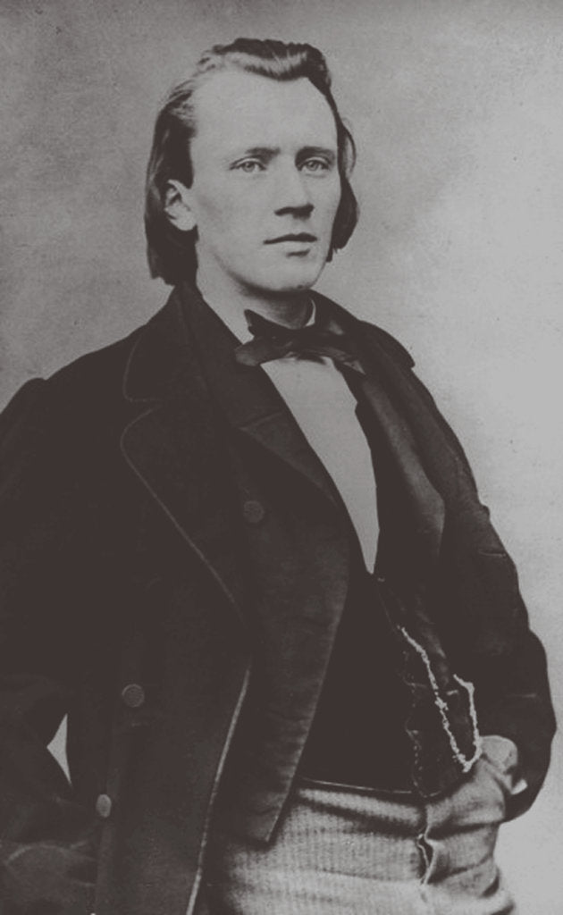 Detail of Johannes Brahms, 1850 by Anonymous