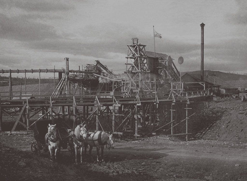 Detail of Gold Dredge in Sysert, 1900s-1910s by Anonymous