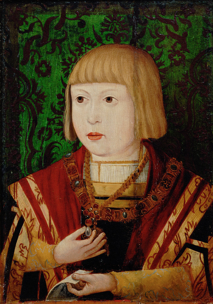 Detail of Emperor Ferdinand I at the age of ten or twelve years, c. 1520 by Anonymous