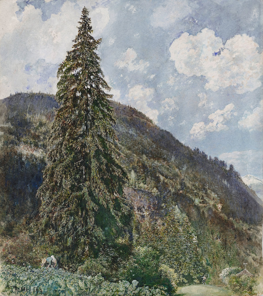 The old Spruce in Bad Gastein, 1899 by Rudolf von Alt