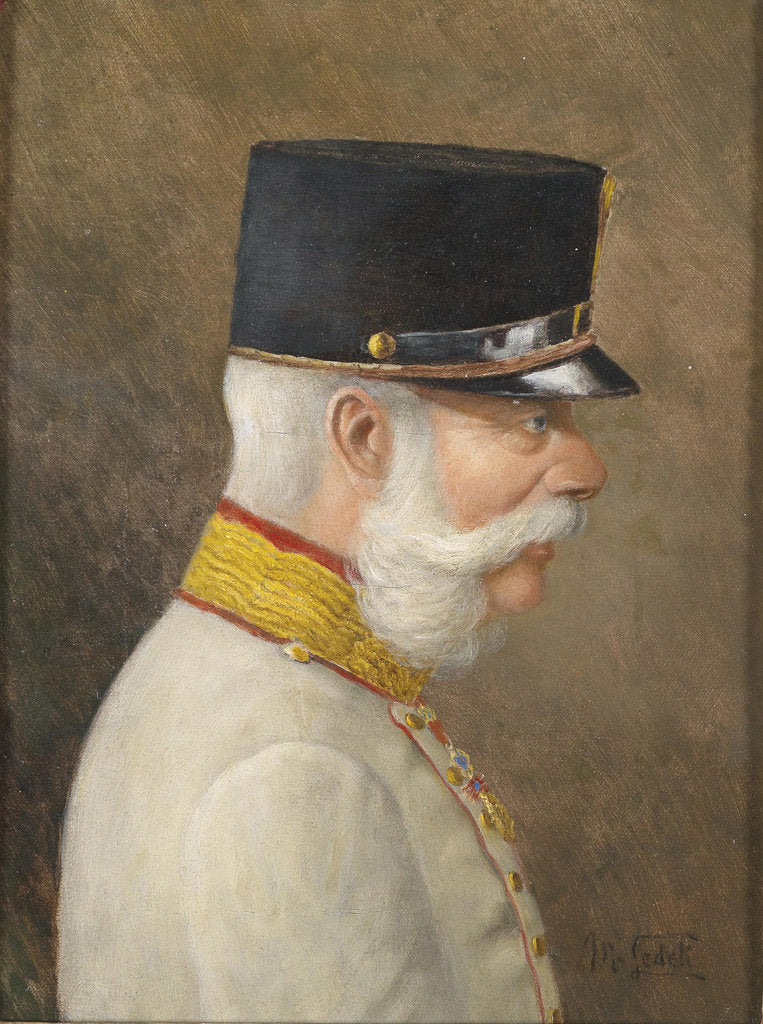 Detail of Portrait of Franz Joseph I of Austria by Moritz Ledeli