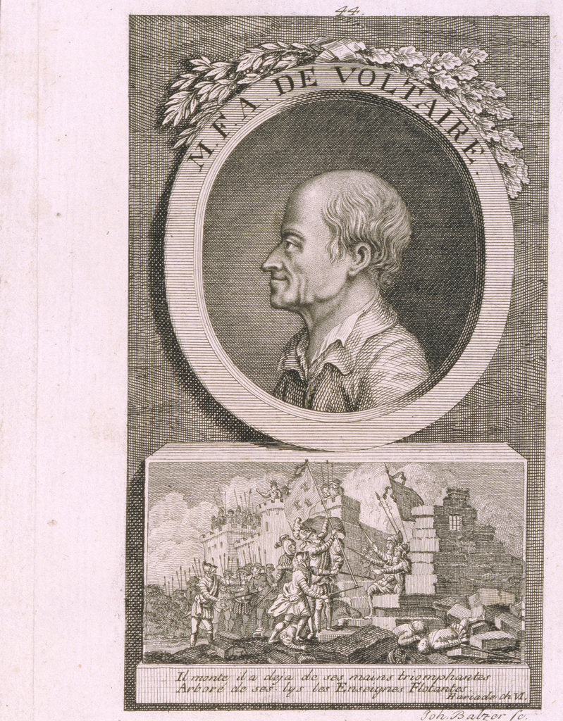 Detail of Portrait of the writer, essayist and philosopher Francois Marie Arouet de Voltaire by Johann Balzer
