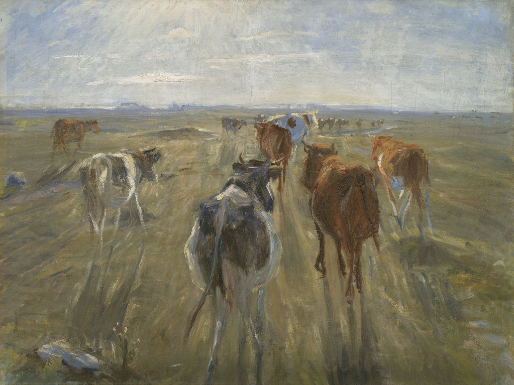Detail of Long Shadows. Cattle on the Island of Saltholm, c. 1890 by Theodor Philipsen