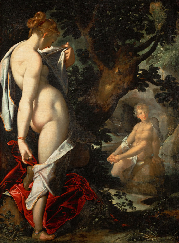 Detail of The Nymph Salmacis and Hermaphroditus, ca 1580-1582 by Bartholomeus Spranger
