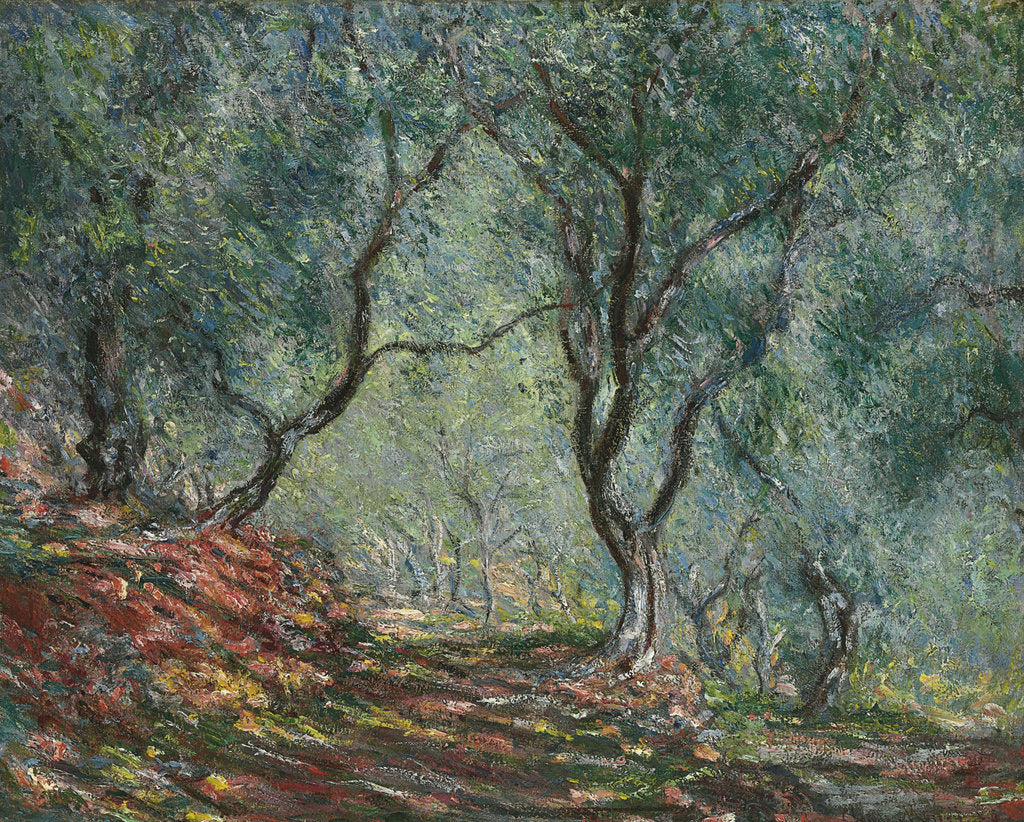 Detail of Bois doliviers au jardin Moreno, 1884 by Claude Monet