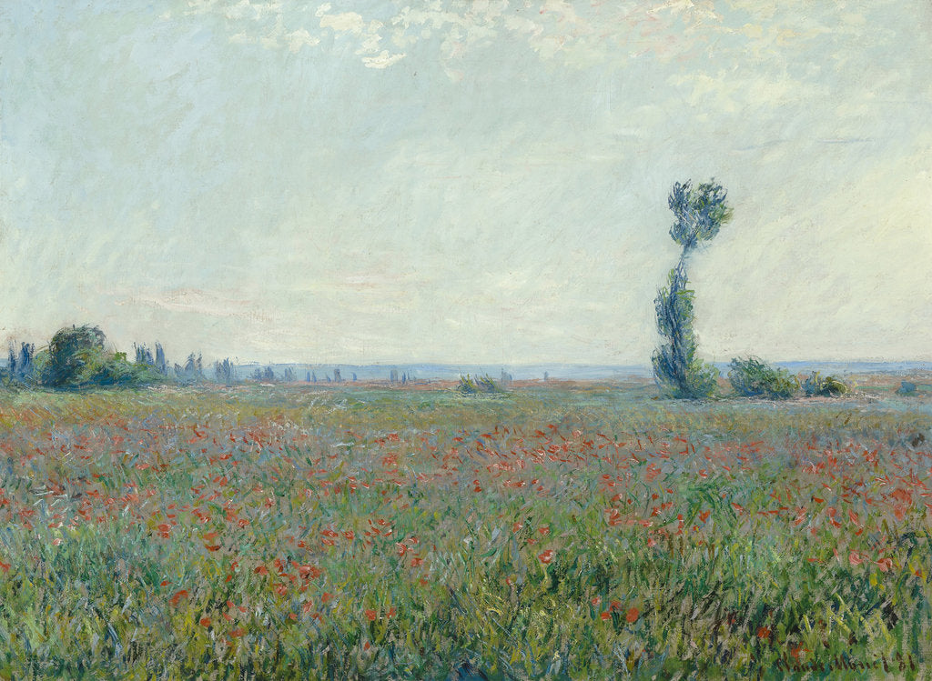 Detail of Poppy field, 1881 by Claude Monet