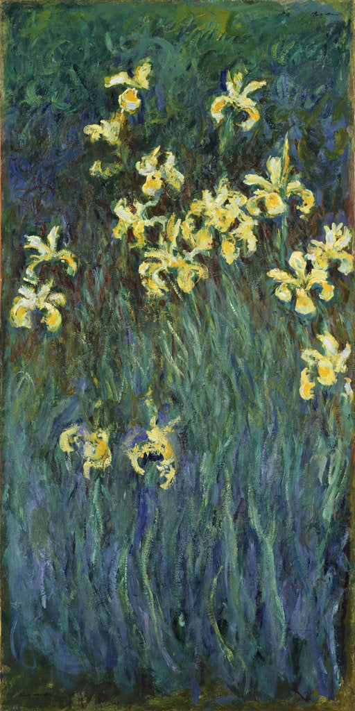 Detail of Yellow Irises, 1914-1917 by Claude Monet