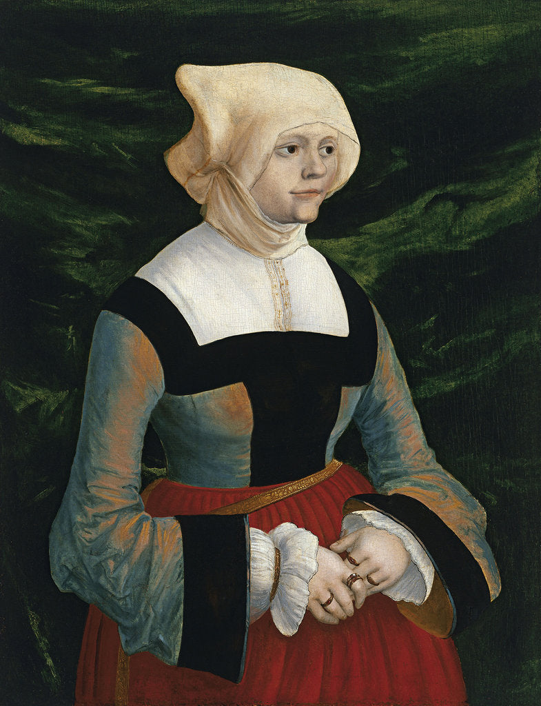 Detail of Portrait of a young Woman, ca 1521-1525 by Albrecht Altdorfer