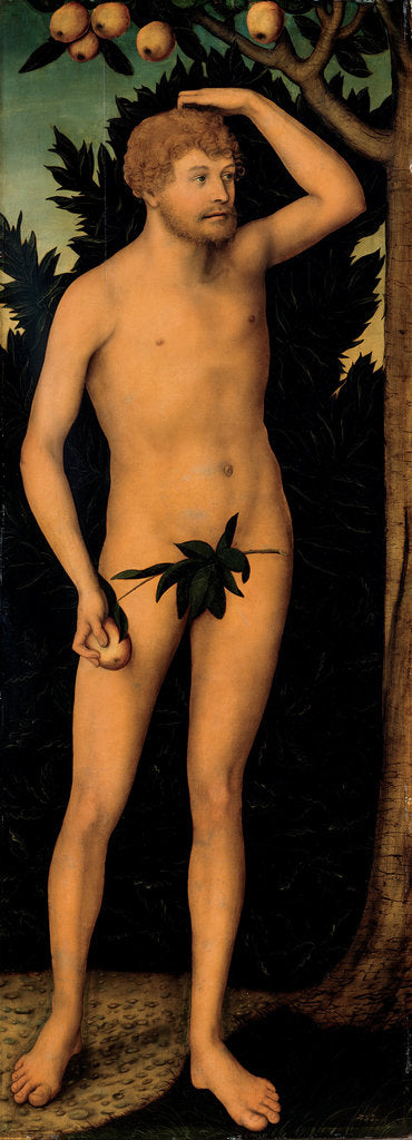 Detail of Adam, after 1537 by Lucas Cranach the Elder