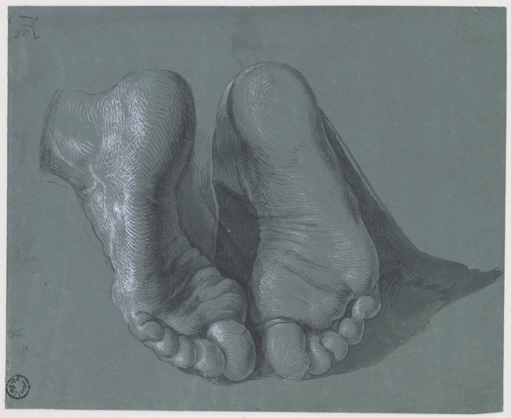 Detail of Study of Two Feet, c.1508 by Albrecht Dürer