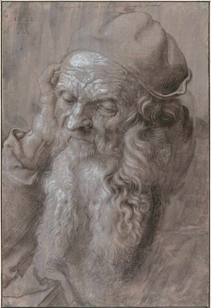 Detail of Head of an Old Man, 1521 by Albrecht Dürer