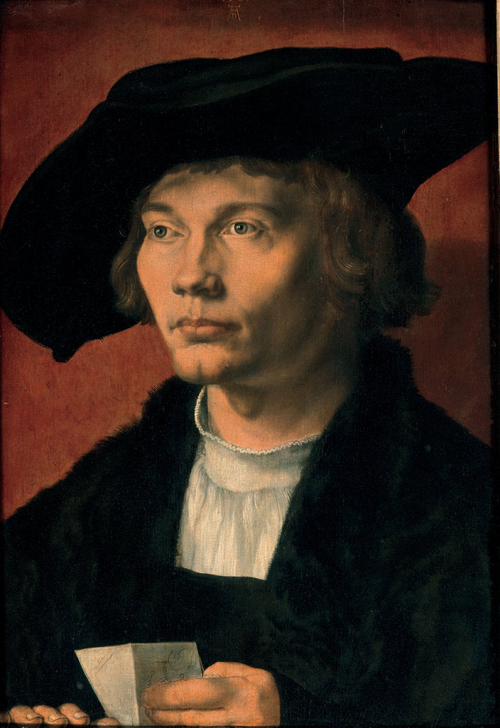 Detail of Portrait of Bernhard von Reesen, 1521 by Albrecht Dürer