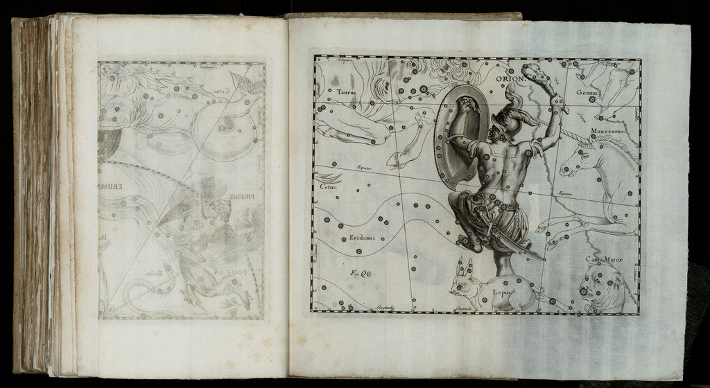 Detail of Prodromus astronomiae, 1690 by Johannes Hevelius