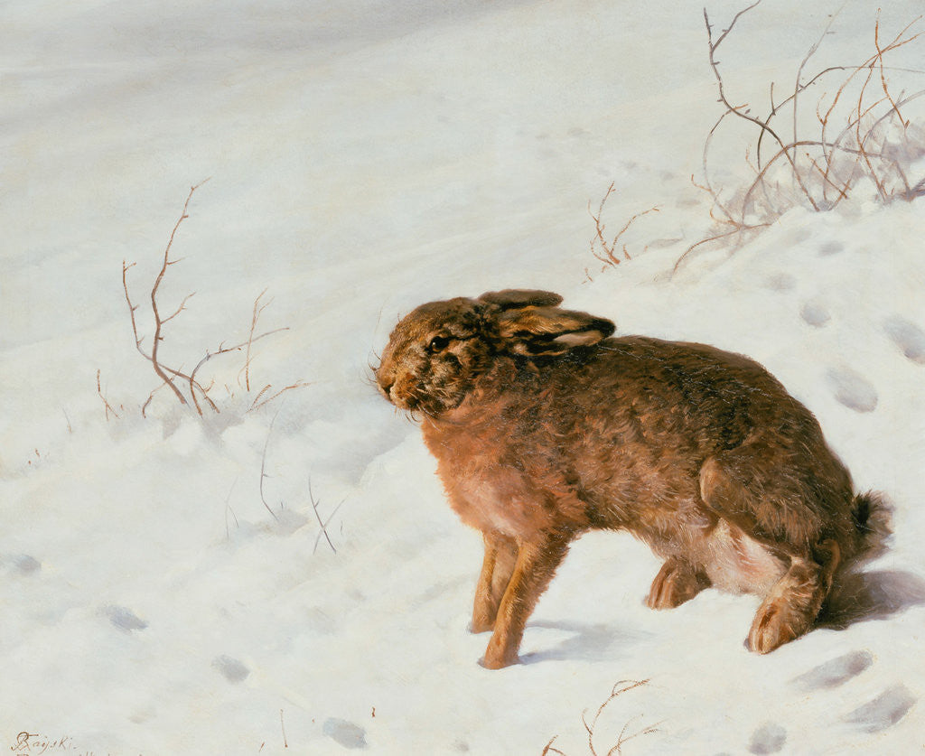 Detail of Hare in the Snow by Louis Ferdinand von Rayski