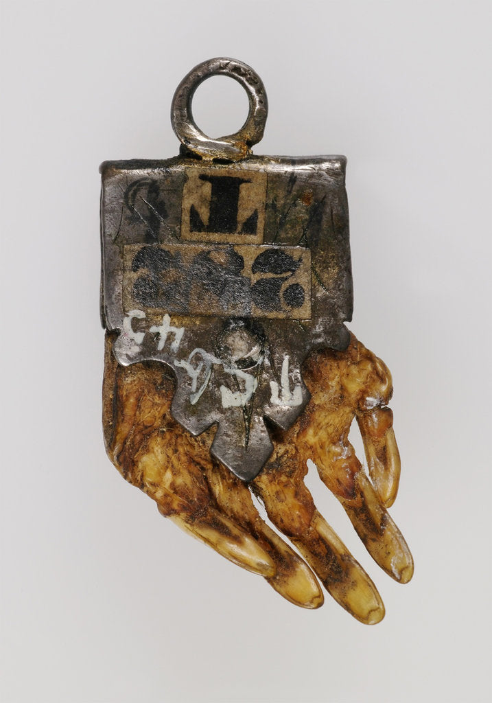 Detail of Witch moles paw (Mole Amulet), 18th century by Anonymous