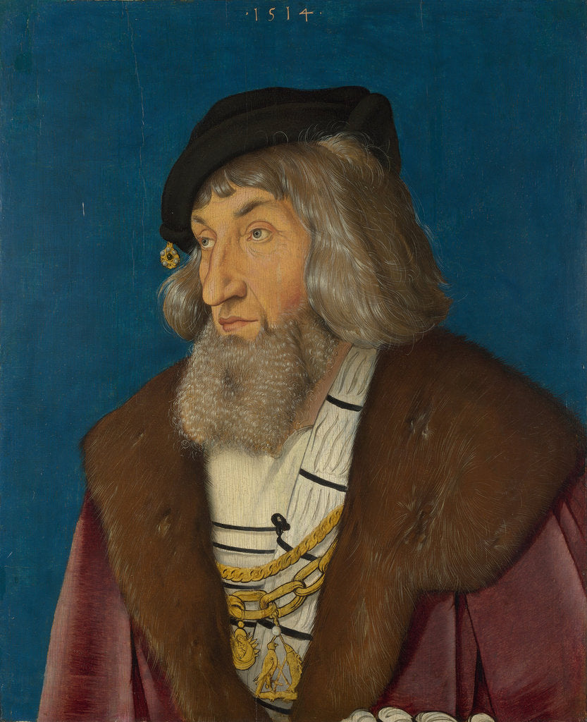 Detail of Portrait of a Man, 1514 by Hans Baldung