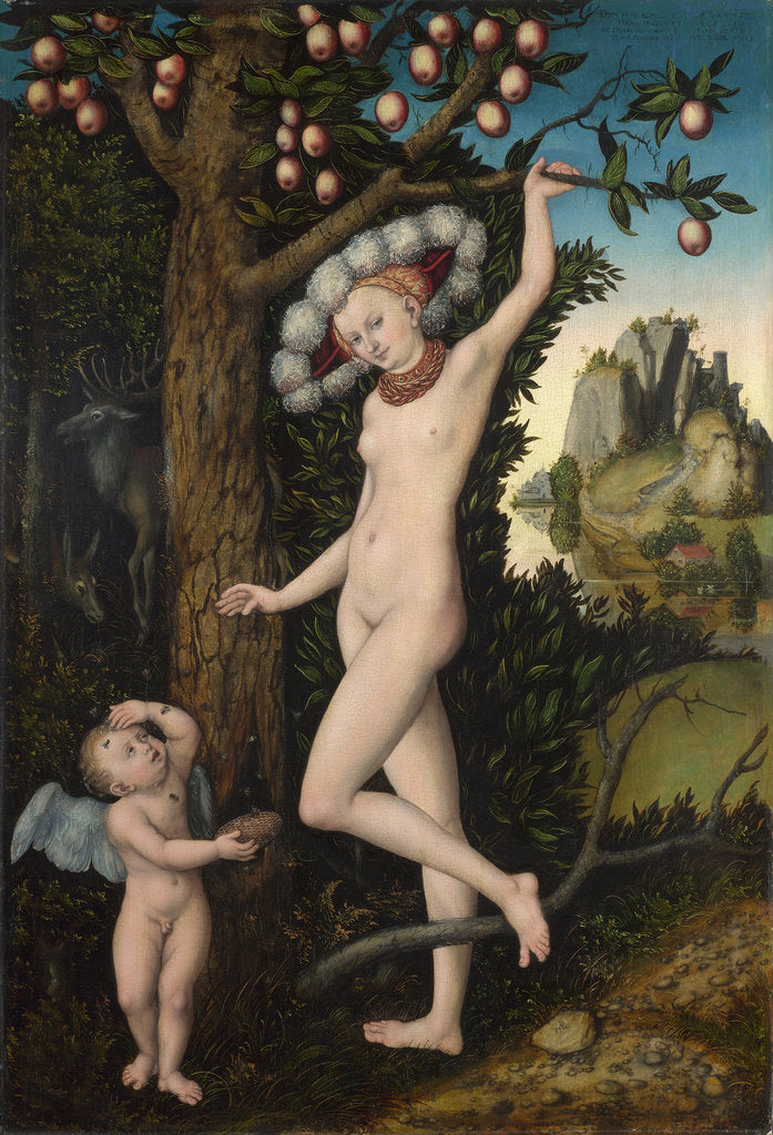 Detail of Cupid complaining to Venus, c. 1525 by Lucas Cranach the Elder