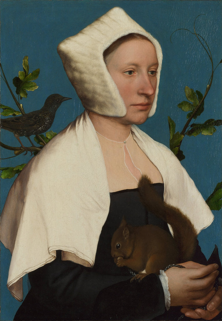 Detail of A Lady with a Squirrel and a Starling (Anne Lovell?), c. 1527 by Hans Holbein the Younger
